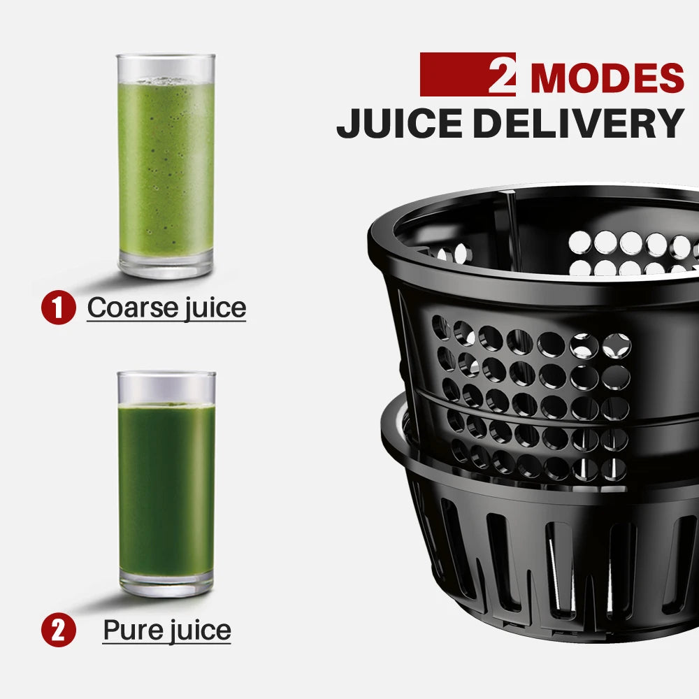 Electric Fruit Juicer 7LV Screw Cold Press Extractor